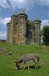 Le Château de Montpeyroux